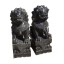 Fu Dog Paar Tempel Löwen Wächter Marmor schwarzer Marmor Bildhauerarbeit