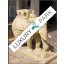 Indien große Elefanten Skulptur Bildhauerei weißer Marmor Sockel