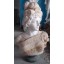 Frauenbüste Skulptur auf Sockel weißer Marmor Empire Klassizismus