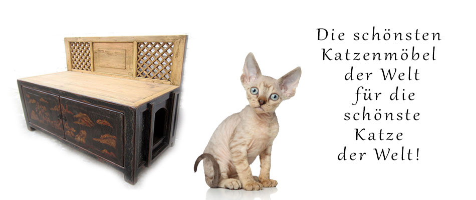Designer Katzentoiletten und Katzenmöbel